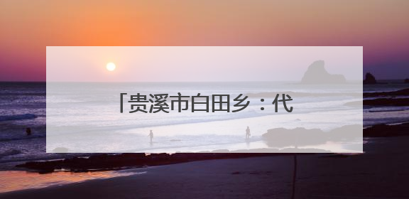贵溪市白田乡：代表织密安全网，守牢假期安全关（图）