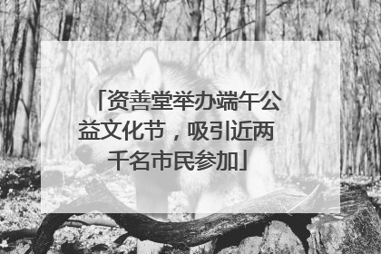 资善堂举办端午公益文化节，吸引近两千名市民参加