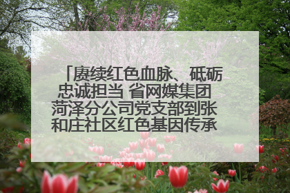 赓续红色血脉、砥砺忠诚担当 省网媒集团菏泽分公司党支部到张和庄社区红色基因传承馆开展主题党日活动