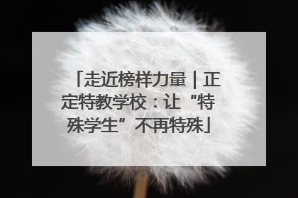 走近榜样力量｜正定特教学校：让“特殊学生”不再特殊