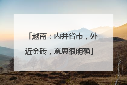 越南：内并省市，外近金砖，意思很明确