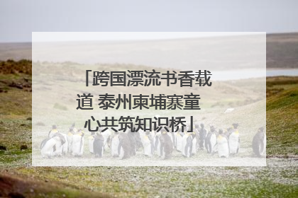 跨国漂流书香载道 泰州柬埔寨童心共筑知识桥