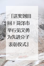 送奖到田间！菏泽市举行见义勇为先进分子表彰仪式
