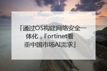 通过OS构建网络安全一体化，Fortinet看重中国市场AI需求