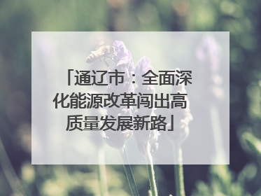 通辽市：全面深化能源改革闯出高质量发展新路