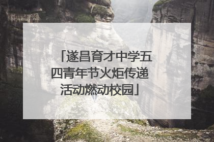 遂昌育才中学五四青年节火炬传递活动燃动校园
