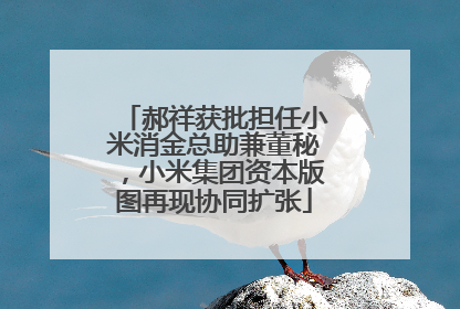 郝祥获批担任小米消金总助兼董秘，小米集团资本版图再现协同扩张