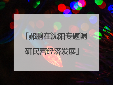 郝鹏在沈阳专题调研民营经济发展