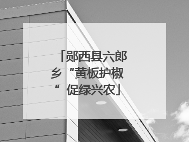 郧西县六郎乡“黄板护椒”促绿兴农