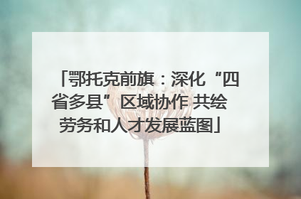鄂托克前旗：深化“四省多县”区域协作 共绘劳务和人才发展蓝图