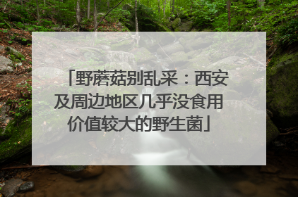 野蘑菇别乱采：西安及周边地区几乎没食用价值较大的野生菌