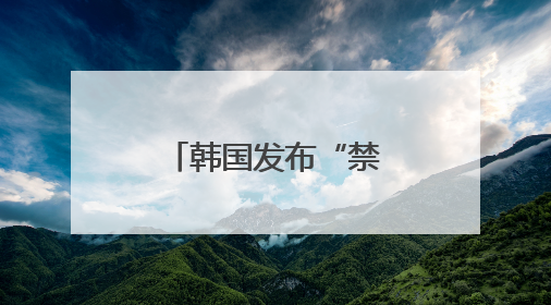 韩国发布“禁枪令”加强总统选举期间安保