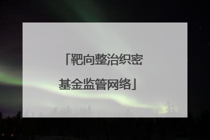 靶向整治织密基金监管网络