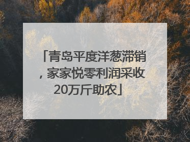 青岛平度洋葱滞销，家家悦零利润采收20万斤助农