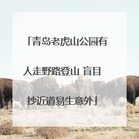 青岛老虎山公园有人走野路登山 盲目抄近道易生意外