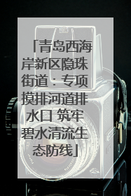 青岛西海岸新区隐珠街道：专项摸排河道排水口 筑牢碧水清流生态防线