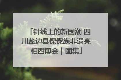 针线上的新国潮 四川盐边县傈僳族非遗亮相西博会｜图集