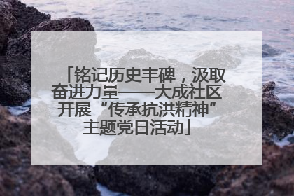 铭记历史丰碑，汲取奋进力量——大成社区开展“传承抗洪精神”主题党日活动