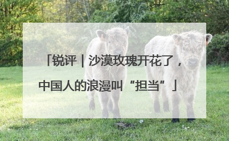 锐评｜沙漠玫瑰开花了，中国人的浪漫叫“担当”