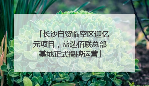 长沙自贸临空区迎亿元项目，益选佰联总部基地正式揭牌运营