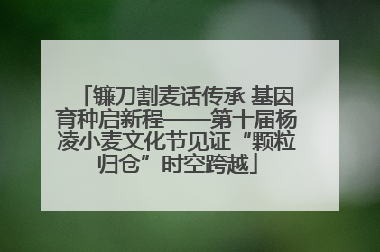镰刀割麦话传承 基因育种启新程——第十届杨凌小麦文化节见证“颗粒归仓”时空跨越