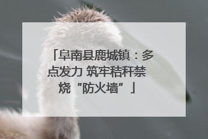 阜南县鹿城镇：多点发力 筑牢秸秆禁烧“防火墙”