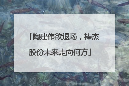 陶建伟欲退场，棒杰股份未来走向何方