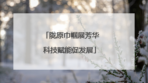 陇原巾帼展芳华 科技赋能促发展