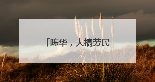 陈华，大搞劳民伤财的“形象工程”“政绩工程”