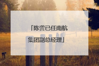 陈詟已任南航集团副总经理