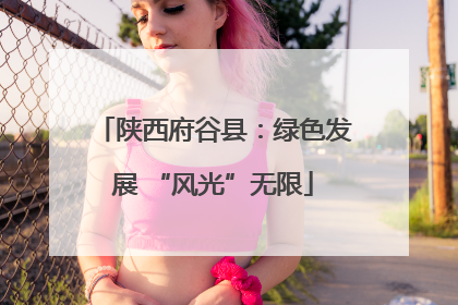 陕西府谷县：绿色发展 “风光”无限