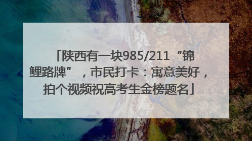 陕西有一块985/211“锦鲤路牌”，市民打卡：寓意美好，拍个视频祝高考生金榜题名