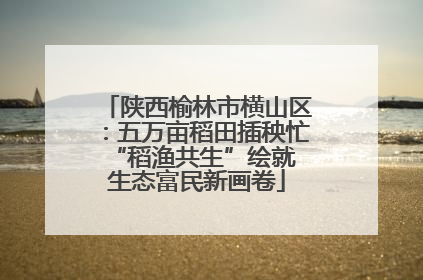 陕西榆林市横山区：五万亩稻田插秧忙 “稻渔共生”绘就生态富民新画卷
