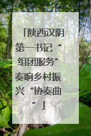 陕西汉阴第一书记“组团服务”奏响乡村振兴“协奏曲”
