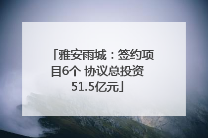 雅安雨城：签约项目6个 协议总投资51.5亿元