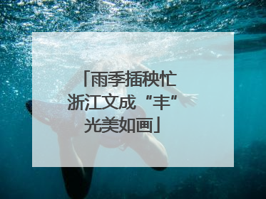 雨季插秧忙 浙江文成“丰”光美如画