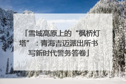 雪域高原上的“枫桥灯塔”：青海吉迈派出所书写新时代警务答卷