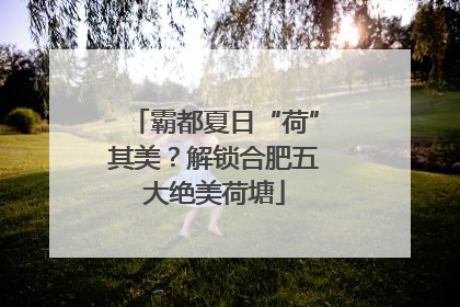 霸都夏日“荷”其美？解锁合肥五大绝美荷塘