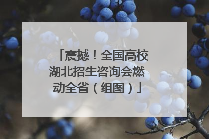震撼！全国高校湖北招生咨询会燃动全省（组图）