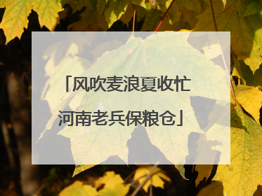风吹麦浪夏收忙 河南老兵保粮仓