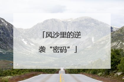 风沙里的逆袭“密码”