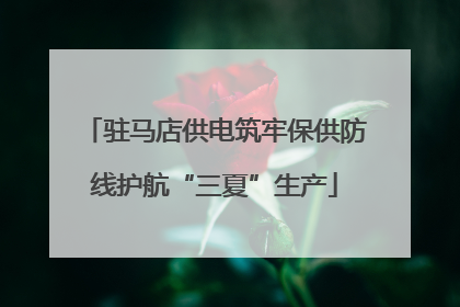 驻马店供电筑牢保供防线护航“三夏”生产
