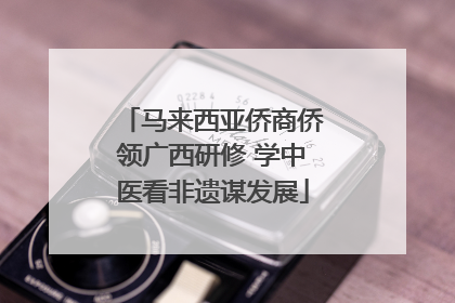 马来西亚侨商侨领广西研修 学中医看非遗谋发展