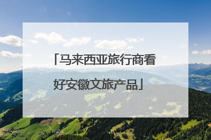 马来西亚旅行商看好安徽文旅产品