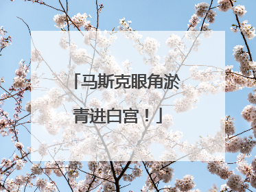 马斯克眼角淤青进白宫！