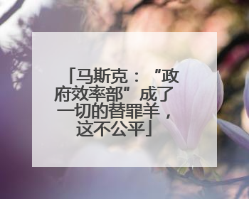 马斯克：“政府效率部”成了一切的替罪羊，这不公平
