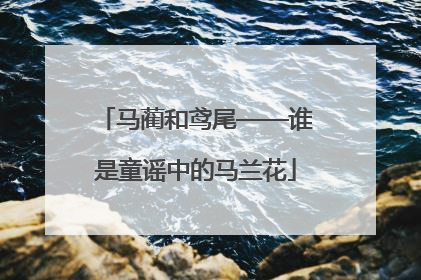 马蔺和鸢尾——谁是童谣中的马兰花