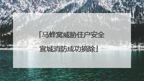 马蜂窝威胁住户安全 宣城消防成功摘除