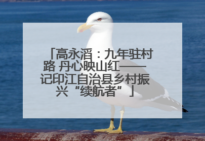 高永滔：九年驻村路 丹心映山红——记印江自治县乡村振兴“续航者”