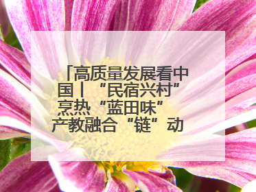 高质量发展看中国丨“民宿兴村”烹热“蓝田味” 产教融合“链”动发展新引擎